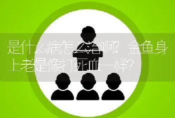 是什么病怎么治啊？金鱼身上老是像打死血一样？