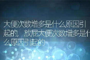 大便次数增多是什么原因引起的，放屁大便次数增多是什么原因引起的