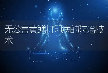 无公害黄鳝打印病的防治技术