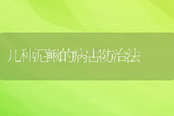 几种泥鳅的病害防治法