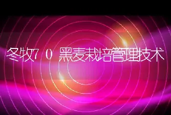 南方地区11月、12月渔事