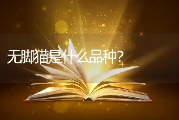 无脚猫是什么品种？