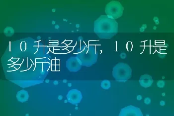 10升是多少斤，10升是多少斤油