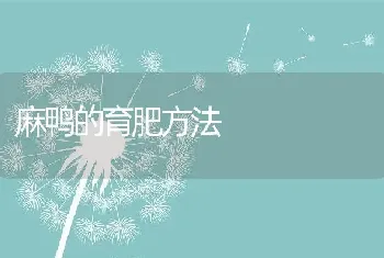 麻鸭的育肥方法