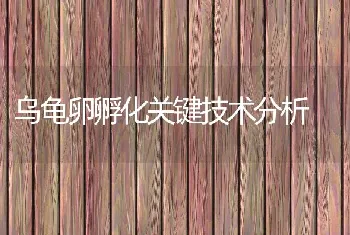 乌龟卵孵化关键技术分析