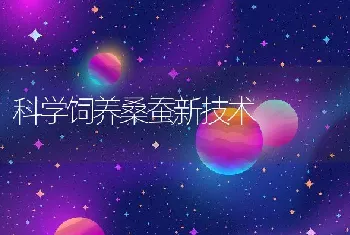 科学饲养桑蚕新技术