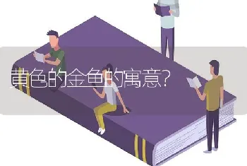 黄色的金鱼的寓意？