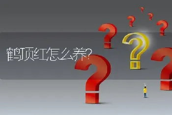 鹤顶红怎么养？