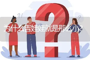 为什么吉娃娃就是那么小？