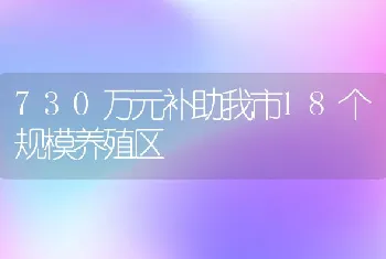 蛋鸡生产中容易忽视的6个问题