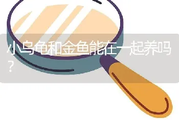 小乌龟和金鱼能在一起养吗？