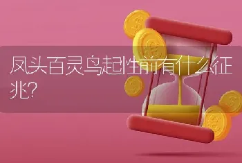 凤头百灵鸟起性前有什么征兆？