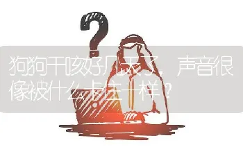 女生适合养公金毛还是母金毛？