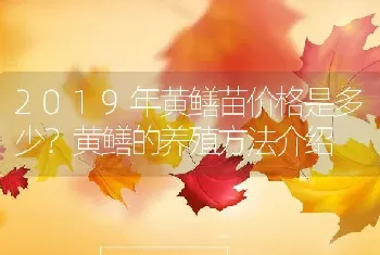 2019年黄鳝苗价格是多少？黄鳝的养殖方法介绍