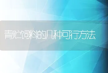 青贮饲料的几种可行方法