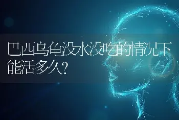 巴西乌龟没水没吃的情况下能活多久？