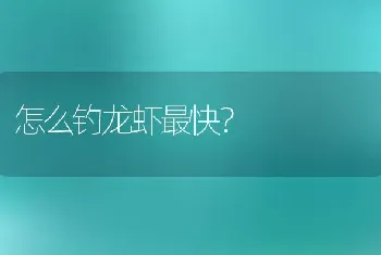 怎么钓龙虾最快？