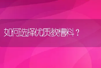 如何选择优质教槽料？