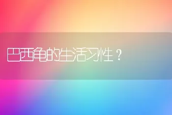 巴西龟的生活习性？