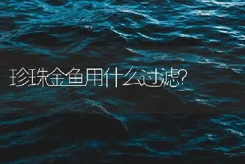 珍珠金鱼用什么过滤？