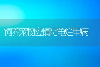 饲养宠物应慎防龟烂甲病