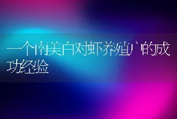 一个南美白对虾养殖户的成功经验