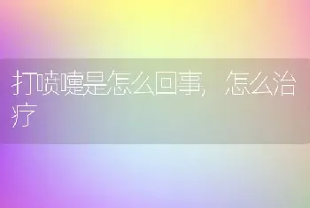 打喷嚏是怎么回事，怎么治疗