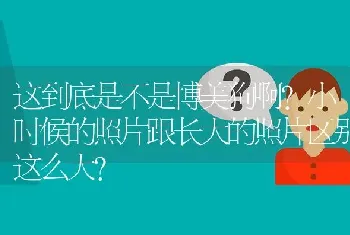 这到底是不是博美狗啊？小时候的照片跟长大的照片区别这么大？