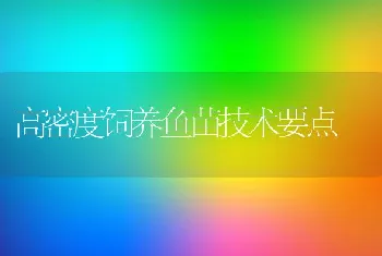 高密度饲养鱼苗技术要点