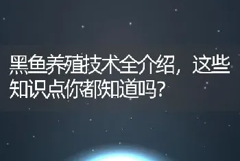 黑鱼养殖技术全介绍，这些知识点你都知道吗？