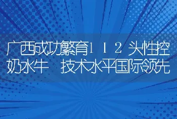 广西成功繁育112头性控奶水牛技术水平国际领先