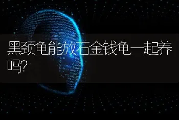 黑颈龟能放石金钱龟一起养吗？