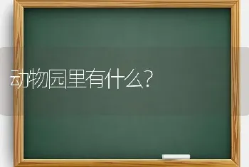 动物园里有什么？