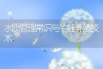 水质管理常识与牛蛙养殖技术