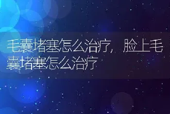 毛囊堵塞怎么治疗，脸上毛囊堵塞怎么治疗