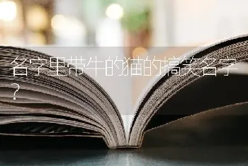 名字里带牛的猫的搞笑名字？