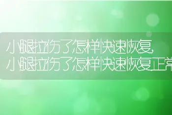 小腿拉伤了怎样快速恢复，小腿拉伤了怎样快速恢复正常