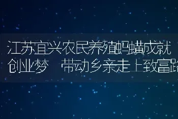 江苏宜兴农民养殖蚂蟥成就创业梦 带动乡亲走上致富路