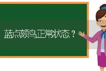 蓝点颏鸟正常状态？