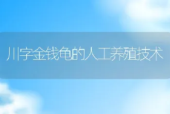 川字金钱龟的人工养殖技术