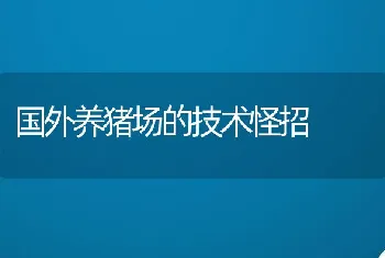 国外养猪场的技术怪招