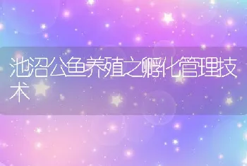 池沼公鱼养殖之孵化管理技术