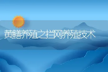 黄鳝养殖之拦网养殖技术