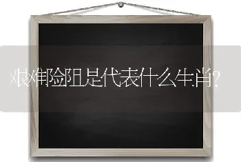 艰难险阻是代表什么生肖？