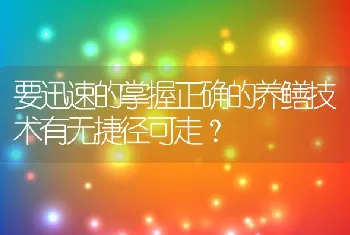 要迅速的掌握正确的养鳝技术有无捷径可走？