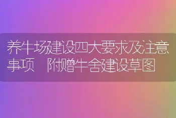 养牛场建设四大要求及注意事项 附赠牛舍建设草图