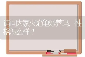 和蒙古百灵差不多样子的鸟是什么鸟图片？