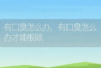 有口臭怎么办，有口臭怎么办才能根除