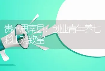 贵州思南县：创业青年养七彩山鸡致富