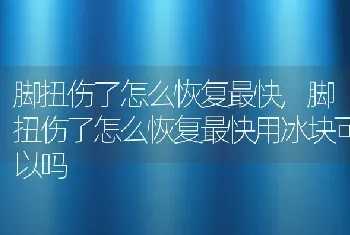 脚扭伤了怎么恢复最快，脚扭伤了怎么恢复最快用冰块可以吗